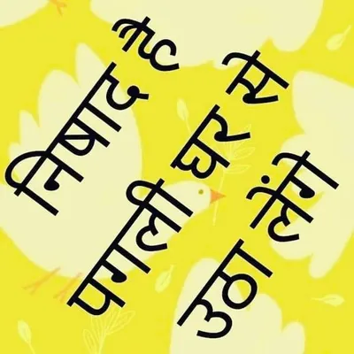 Up Dabang Nishad profile