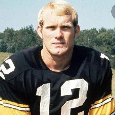 Terry Bradshaw profile