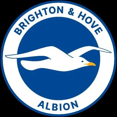 Brighton & Hove Albion FC profile
