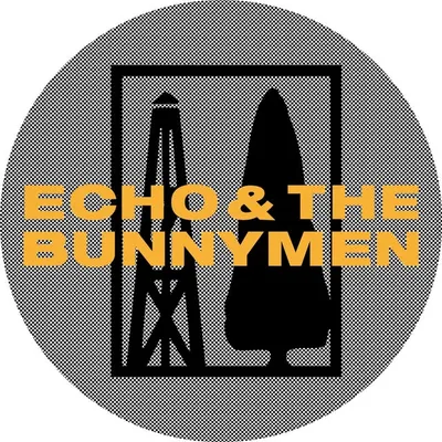 Echo And The Bunnymen profile