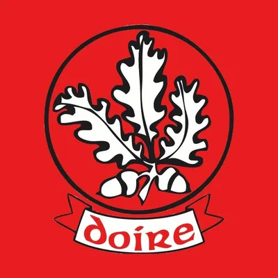 Derry GAA profile