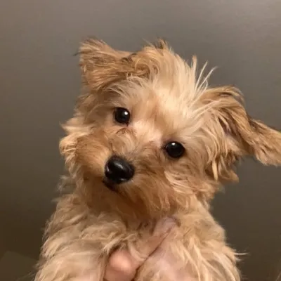 buddy✨ profile