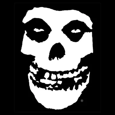 The Misfits profile