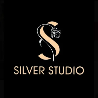 Silver Studio profile