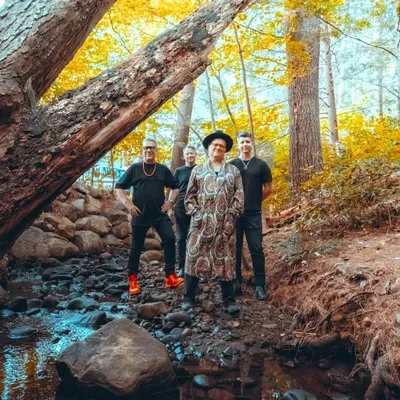 Violent Femmes profile