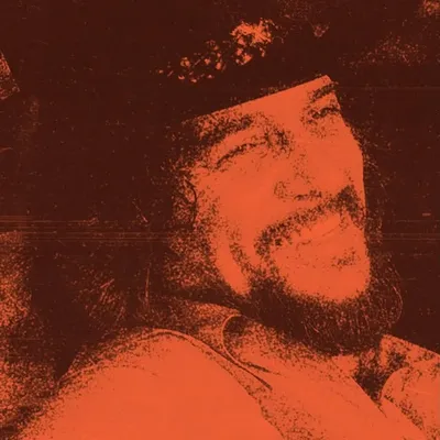 Waylon Jennings profile