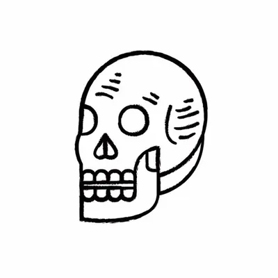 Ofrenda NYC profile