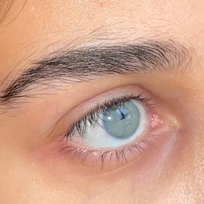 Rain 🦢🪽 رِیْنْ profile