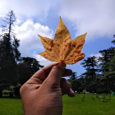 ਰਾਹਗੀਰ profile