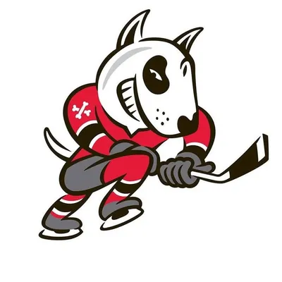 Niagara IceDogs profile