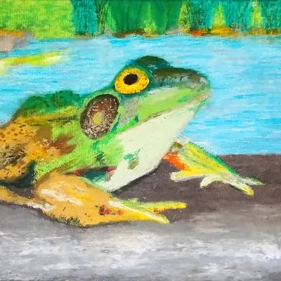 Oil Pastel Arts profile