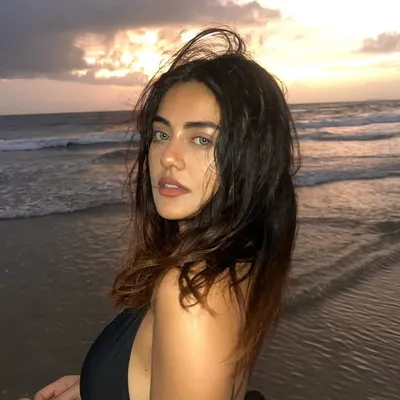 sina profile