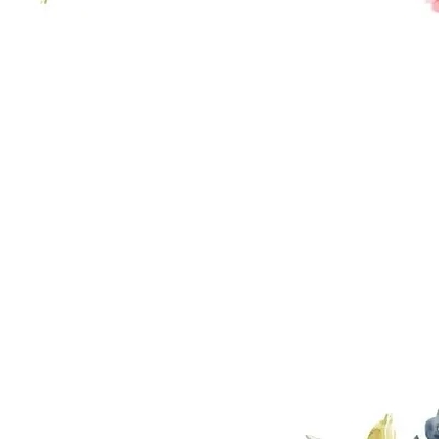 graphic_designer profile