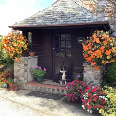 Oldaport Farm Cottages profile