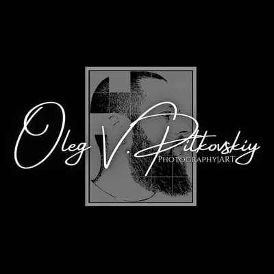 Oleg Viktorovic Pitkovskiy profile