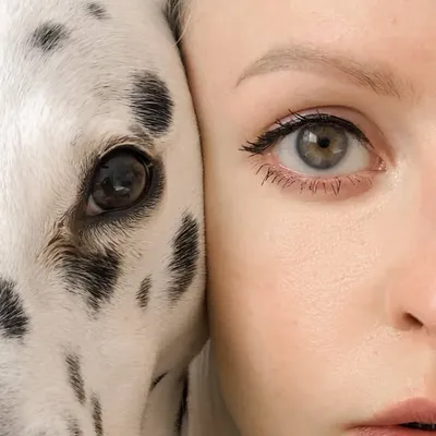 Психолог Минск | КПТ | Mindfulness | EMDR | Ольга Вангаева profile