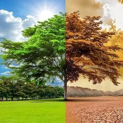 Olhar Ambiental profile