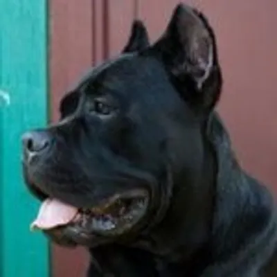 Ольга Еремьянова profile