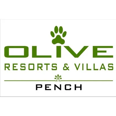 Olive Infraresorts Private Limited profile