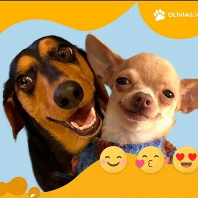 Olivia & Jair profile