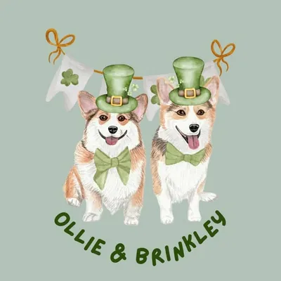 Ollie Toby🎾 & Brinkley Rose🎀 profile