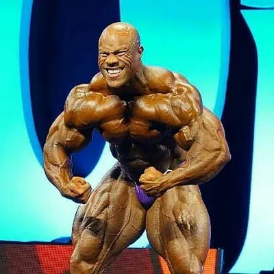 ๐ช Unlimited Gains ๐ช profile