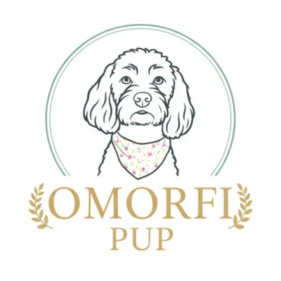 Omorfi Pupš¾ | Dog Products & Accessories profile