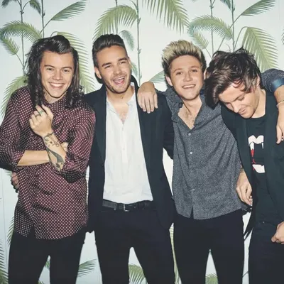 One Direction profile
