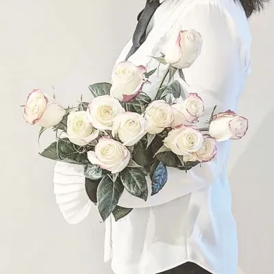 Hi, I'm Claire ๐ฅโ profile
