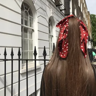 profile