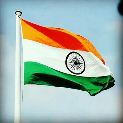 વનલાઈનાર_ઓન્લી_નોટિફિકેશન profile