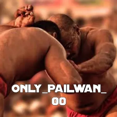 pailwan group 💪❤️✌️ profile