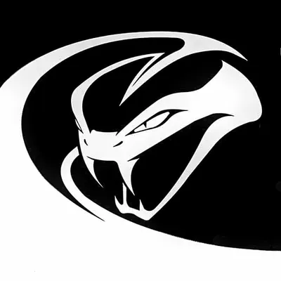 Dodge viper profile