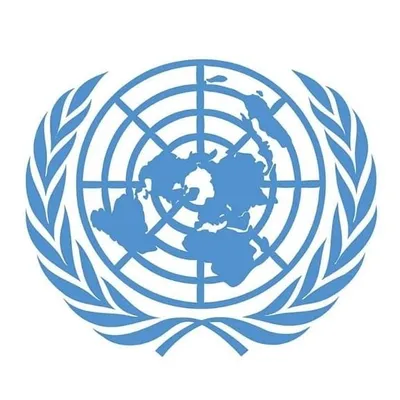 ONU Brasil profile