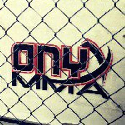 Onyx MMA Singapore profile