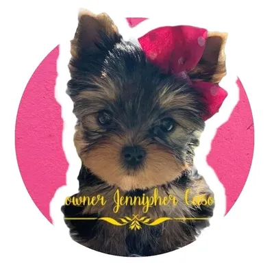 Jennipher Caso profile