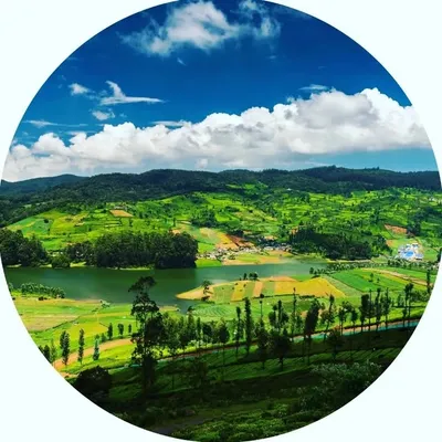 ootytourism profile