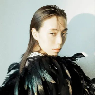 shin profile