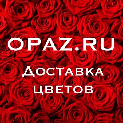Доставка цветов СПб profile
