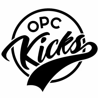 Sneakers/Customs/Cleanings profile