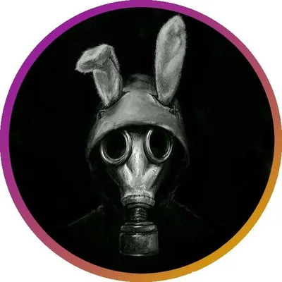 ๐๐ใฝ๏ธ profile