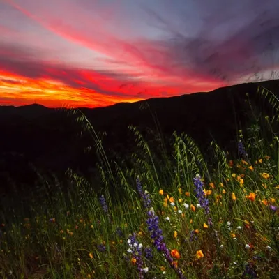 Orange County Outdoors profile