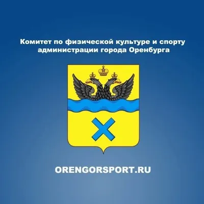 "ВЕСЬ СПОРТ ГОРОДА ОРЕНБУРГА" profile