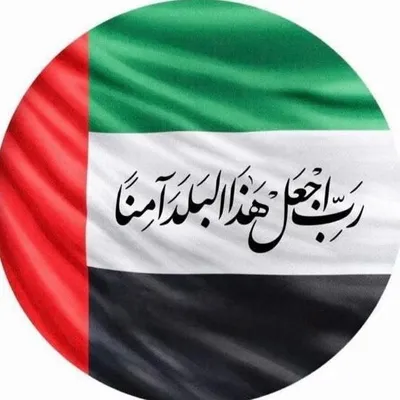 أَمينه البلوشي profile