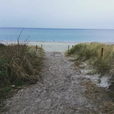 ostseecamper profile