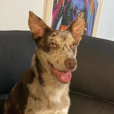 Otis profile