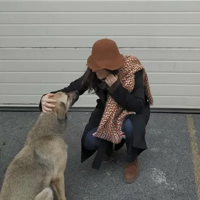 Otto profile
