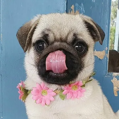 Your ultimate party girl! 🥳 profile