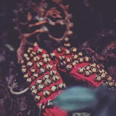 India's_Treasure_Bharatanatyam profile
