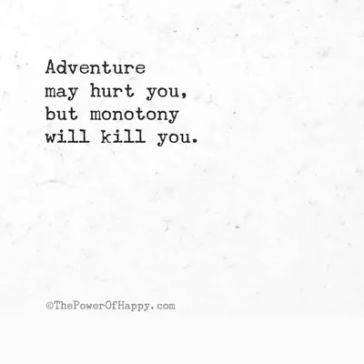 Our Blended Adventures profile